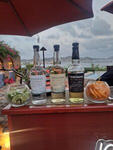 490808974_1485261846032803_9026630202367205506_n